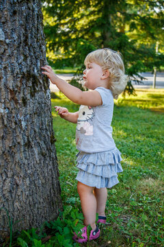 A little girl hugs a big tree