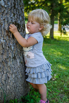 A little girl hugs a big tree