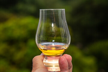 single malt scotch whisky in glencairn glass