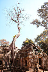 Fototapeta premium archaeological site country - Angkor Thom