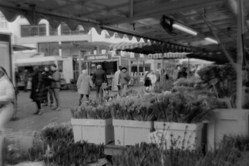 Market in Bonn