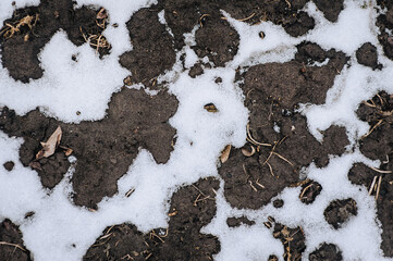 Texture, background of white snow lying on the dug up brown earth, ground in winter. Close-up photography, nature, agriculture, top view.