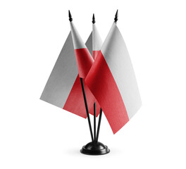 Small national flags of the Poland on a white background