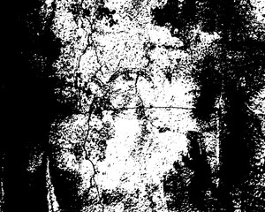 Rustic grunge vector texture with grain and stains. Abstract noise background. Weathered surface. Dirty and damaged. Detailed rough backdrop. Vector graphic illustration with transparent white. EPS10.