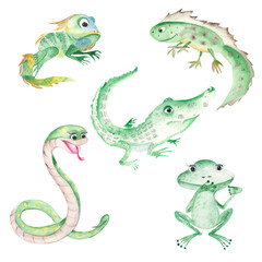 Reptile and amphibians set. Cute frog, snake, iguana, crocodile and newt isolated on white background. Watercolor hand drawn illustration.