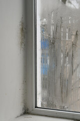 Mold on a wet window in the house