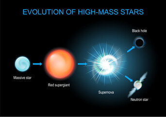 Stellar evolution. Life cycle of massive star