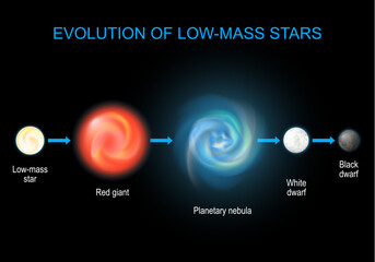 Evolution of low-mass stars © designua