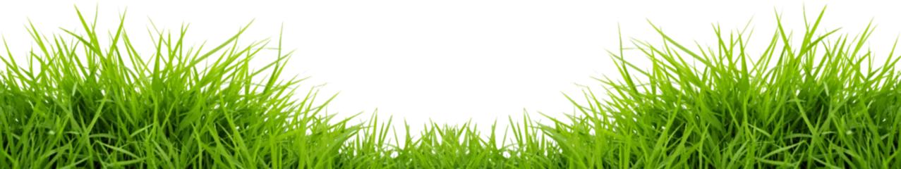 Papier Peint photo Autocollant Herbe Fresh green grass