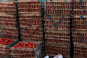Fresh tomatoes in boxes on the Egyptian market. Fresh vegetables in the street bazaar