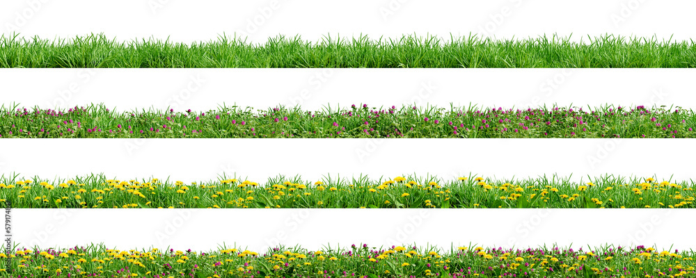 Poster various borders of green grass, dandelions and clovers, isolated on transparent background. 3d rende