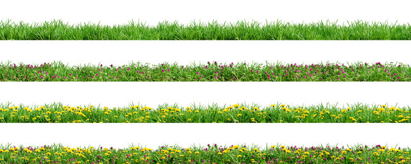 Fototapeta Various borders of green grass, dandelions and clovers, isolated on transparent background. 3D render. obraz