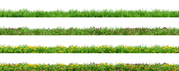 Various borders of green grass, dandelions and clovers, isolated on transparent background. 3D render.