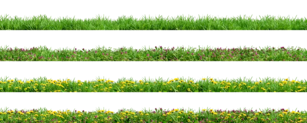 Fototapete Rund Various borders of green grass, dandelions and clovers, isolated on transparent background. 3D render. © schab