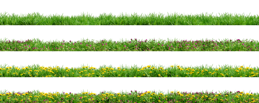 Various borders of green grass, dandelions and clovers, isolated on transparent background. 3D render.