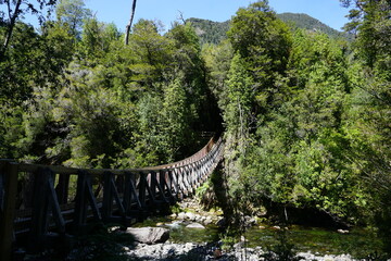 Fototapeta premium Wooden bridge in a forest