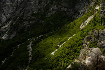 Light Hits A Patch Of Green Hill Side In Backcountry of Yosemite