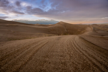 Fototapeta na wymiar Lines in the Dunes Bend Across Crest of Dune