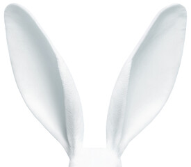 PNG White Easter Rabbit Ears Isolated