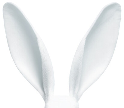 PNG White Easter Rabbit Ears Isolated