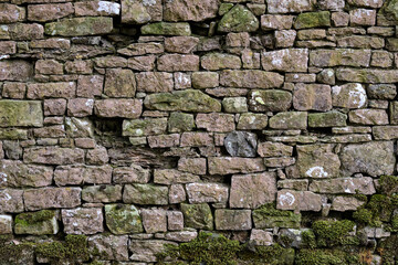 Old overgrown dry stone wall