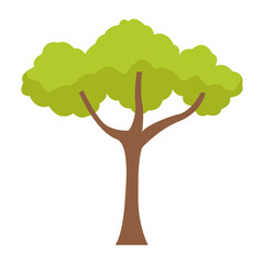 tree icon png image with transparent background
