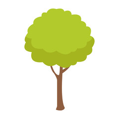 tree icon png image with transparent background