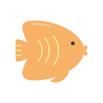 Summer season fish png icon with transparent background