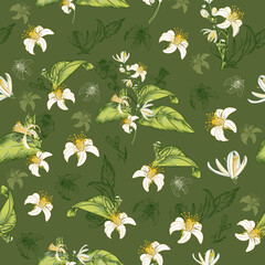 Beautiful vector seamless pattern with white lemon flowers in vintage style
