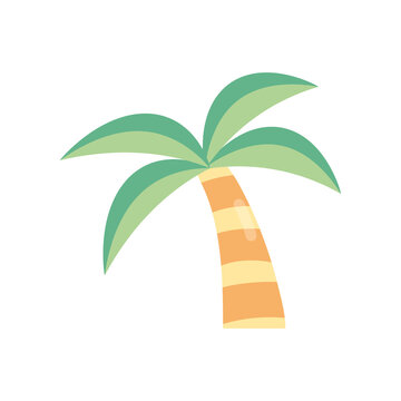 Summer season beach palm trees png icon with transparent background