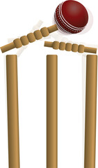 Cricket Ball Hitting the Wicket Illustration