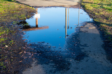 Park reflection in a puddle of rain water - obrazy, fototapety, plakaty