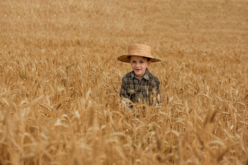 Naklejka na ściany i meble Portrait of smiling little farmer boy in a plaid shirt and straw hat in a wheat field.