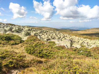 Autumn view of Vitosha Mountain, Bulgaria