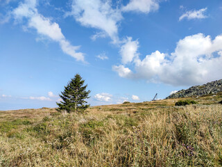 Autumn view of Vitosha Mountain, Bulgaria