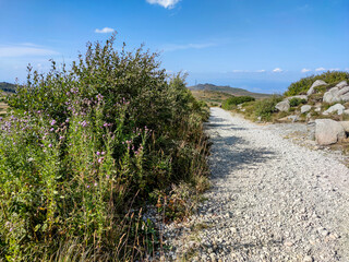 Autumn view of Vitosha Mountain, Bulgaria
