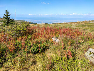 Obraz premium Autumn view of Vitosha Mountain, Bulgaria