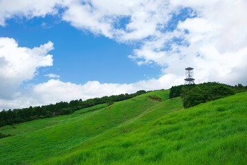 meadow and sky