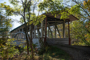 Covered Bridge with Trees