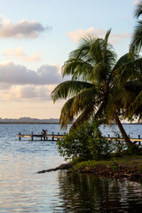 The beautiful and tropical views at Manatee Lodge in Gales Point, Belize.