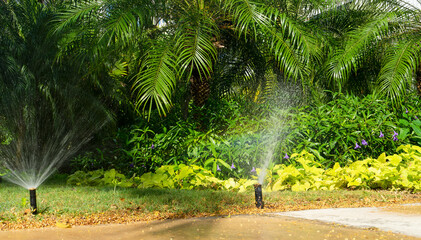 Sprinkler irrigation system of a tropical garden in Mexico on a sunny day