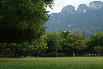Fototapeta na wymiar Picturesque view of beautiful park with green trees and grass in mountains