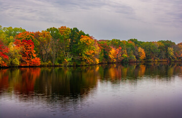 fall foliage in new england
