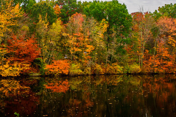 fall foliage in new england