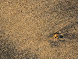 Beautiful sand background. Small, simple, yet powerful