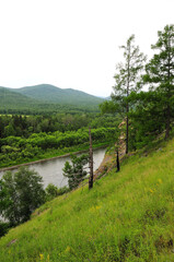 Fototapeta premium Tall pine trees on the slope of a high rocky mountain overlooking a beautiful river flowing through the summer valley on a cloudy day.