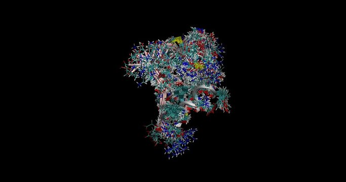 Human insulin (engineered) NMR structure (movement in water), 3D molecule 4K spinning