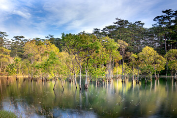 A beautiful view of the lake in Autumn. The reflections of the yellow leaves to water. Photo taken with long exposure technique