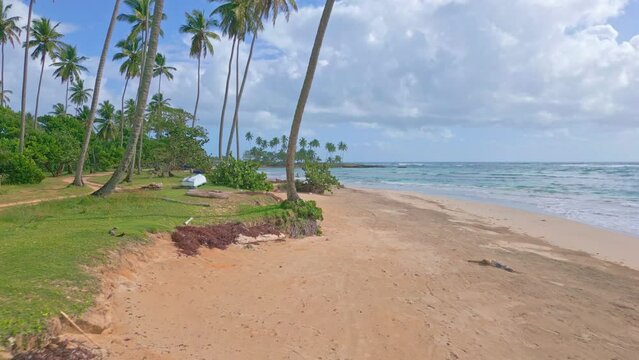 Tropical paradise in Caribbean - palm-fringed beach of Los Coquitos; aerial