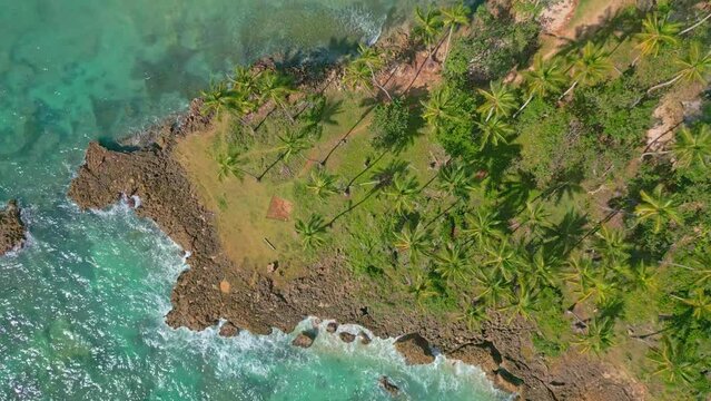 Rocky outcrop with exotic vegetation and palms, Playa Los Coquitos; aerial